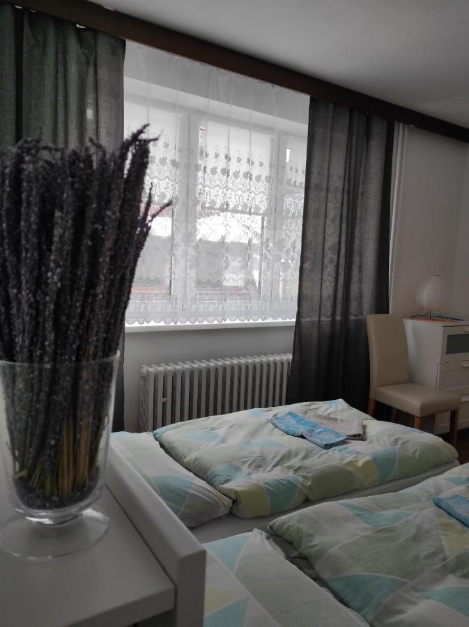 Hotel Tatrania Stara Lesna Exterior photo